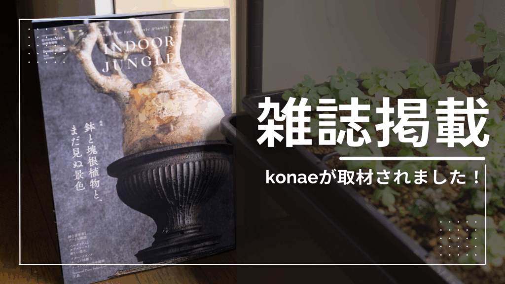 雑誌INDOOR JUNGLE掲載